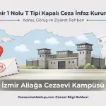 İzmir 1 Nolu T Tipi Cezaevi Aliağa 2026 Rehberi